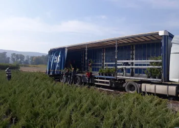 Milli Ağaçlandırma Günü için fidanlar hazır