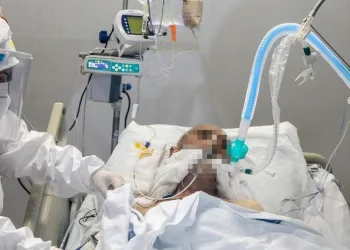 Türkiye’de kasım ayında rekor ölüm