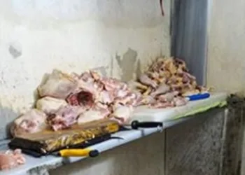 İnsan sağlığını hiçe saydılar!