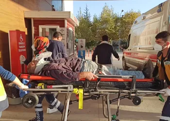 Bursa’da başına tomruk düşen işçi yaralandı