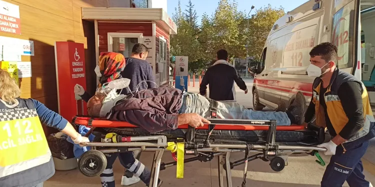 Bursa’da başına tomruk düşen işçi yaralandı
