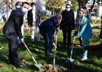 TSE binasının fidanları Kestel Belediyesi’nden