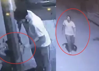 Bursa’da köpeği çalındı sanıyordu, gerçek ortaya çıktı