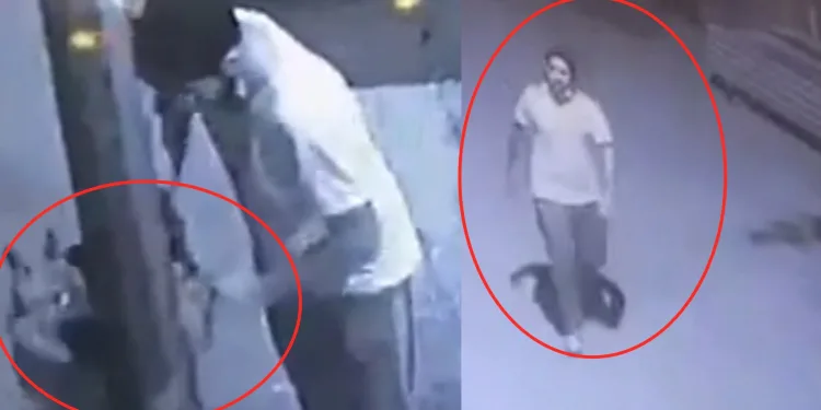 Bursa’da köpeği çalındı sanıyordu, gerçek ortaya çıktı