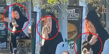Sokakta fareyi tokatlayıp ısıran kadının cezası 947 TL