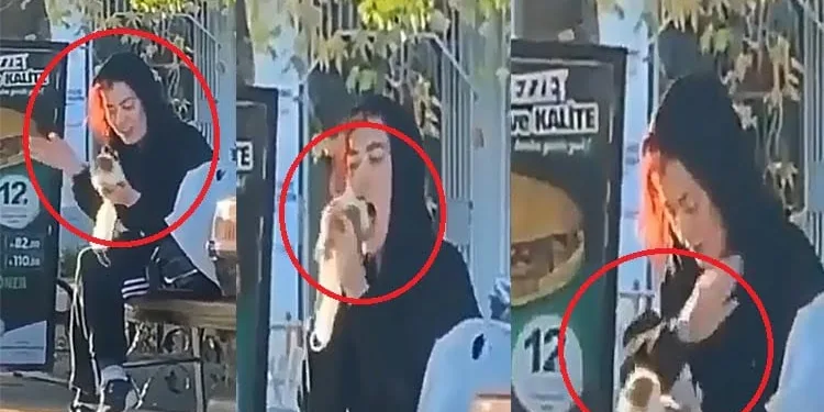 Sokakta fareyi tokatlayıp ısıran kadının cezası 947 TL