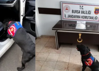 Araç koltuğuna gizlenen uyuşturucuyu ‘Takip’ buldu