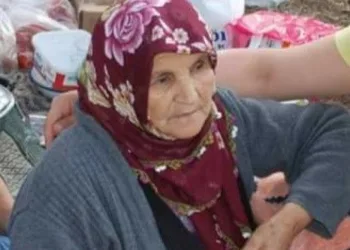 Mantar toplamaya giden yaşlı kadından haber alınamıyor