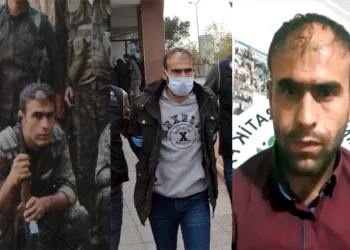 İlçe başkanının, PKK’nın dağ kadrosunda olduğu ortaya çıktı