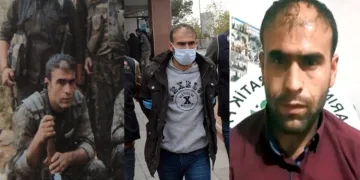 İlçe başkanının, PKK’nın dağ kadrosunda olduğu ortaya çıktı