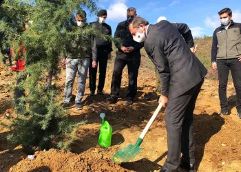 Gürsu’da 2 bin fidan toprakla buluştu