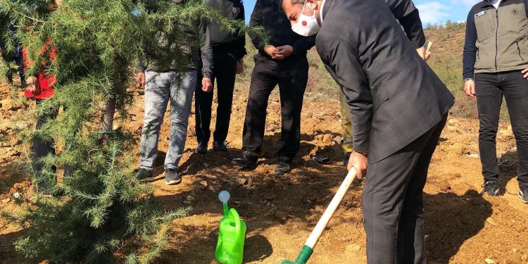 Gürsu’da 2 bin fidan toprakla buluştu