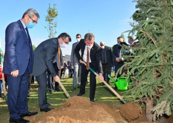 Yeşil seferberliğe ‘Yıldırım’ destek