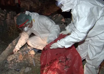 İnşaat molozları arasında korona tahlil tüpleri bulundu