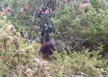 Bursa’da 3 gündür kayıp  olan yaşlı adamdan acı haber