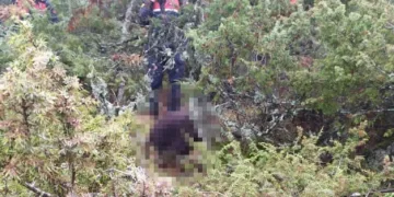 Bursa’da 3 gündür kayıp  olan yaşlı adamdan acı haber