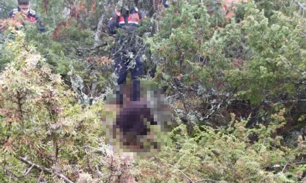 Bursa’da 3 gündür kayıp  olan yaşlı adamdan acı haber