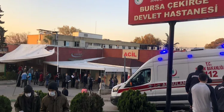 Bursa’da salgında son durum: “Yüzde 50-60’lık düşüş”