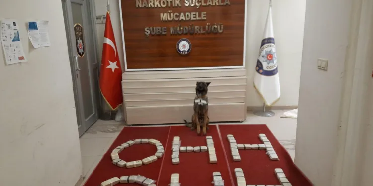 ‘OHH’ dedirten uyuşturucu operasyonu