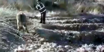 Gözleri görmeyen eşeğe işkenceye 947 lira ceza