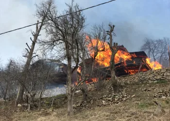 Rize’de köydeki yangın 7 eve sıçradı