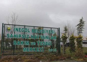 “Can dostları” yerden ısıtmalı barınakta tedavi ediyorlar