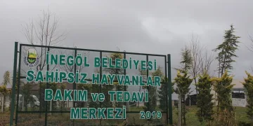 “Can dostları” yerden ısıtmalı barınakta tedavi ediyorlar