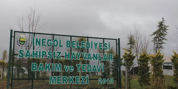 “Can dostları” yerden ısıtmalı barınakta tedavi ediyorlar
