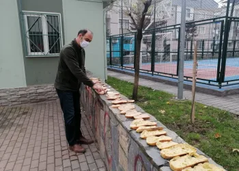 Bursa’da mahalle muhtarı çöpe atılan ekmeklerle sokak hayvanlarını besliyor