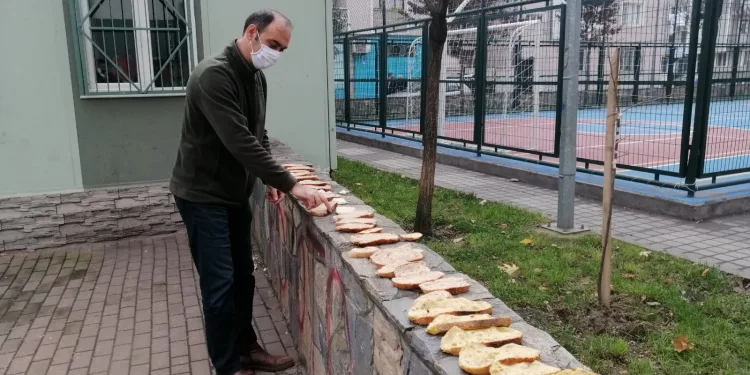 Bursa’da mahalle muhtarı çöpe atılan ekmeklerle sokak hayvanlarını besliyor