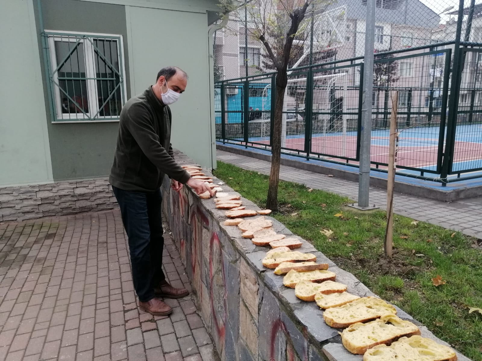 Bursa'da mahalle muhtarı çöpe atılan ekmeklerle sokak hayvanlarını besliyor