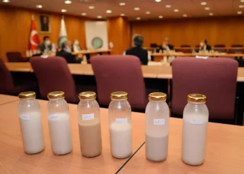 Bursa’da veganlar için süt ve yoğurt üretildi