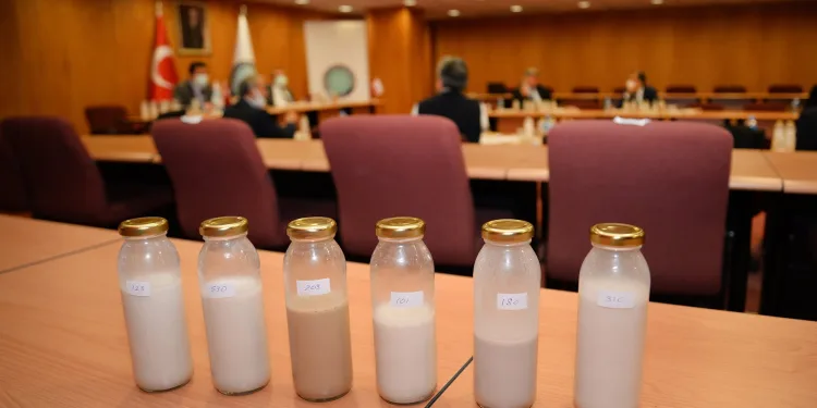 Bursa’da veganlar için süt ve yoğurt üretildi
