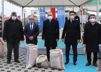 Bursa’da çiftçiye siyez desteği