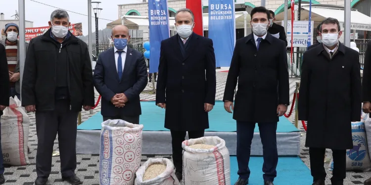 Bursa’da çiftçiye siyez desteği
