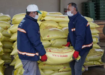 Kestel Belediyesi’nden sel mağduru çiftçilere 23 ton gübre desteği