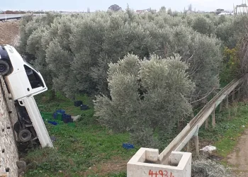 Bursa’da kaza sonrası terk edilmiş halde bulundu