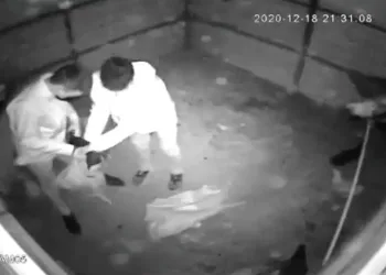 Kümese giren hırsızlar tavukları çuvala koyup kaçtı