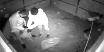 Kümese giren hırsızlar tavukları çuvala koyup kaçtı