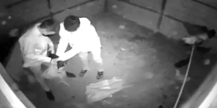 Kümese giren hırsızlar tavukları çuvala koyup kaçtı
