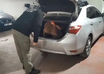 Vites kutusuna gizlenen uyuşturucuyu ‘Galya’ buldu