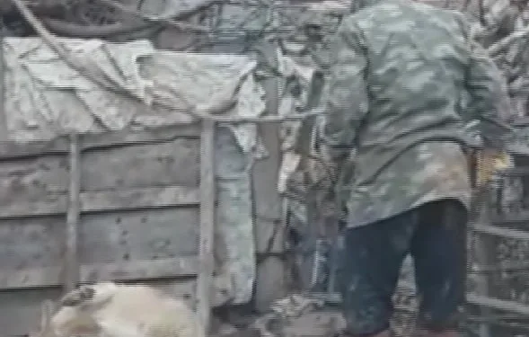 Köpeğe sopalı eziyete 947 lira ceza