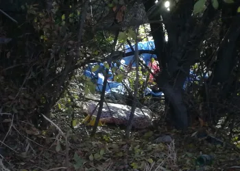 Yol kenarındaki çantadan ceset çıktı