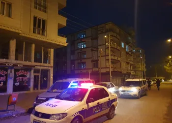 İki kardeş arasındaki kavgada anne bıçaklanarak öldü