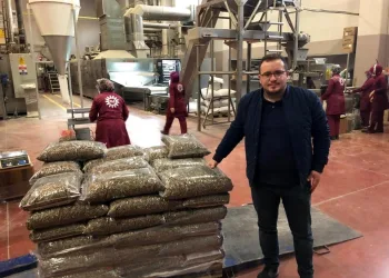 Dünyanın dört bir yanına çekirdekler Bursa’dan gidiyor