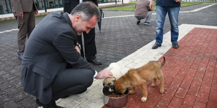 İnegöl Belediyesi 7 bin 700 can dostuna şifa oldu
