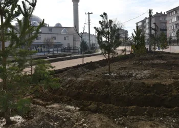 2 günde 166 fidan dikildi