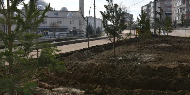 2 günde 166 fidan dikildi
