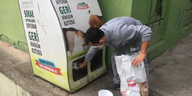 Osmangazi’de sahipsiz hayvanlara beslenme desteği