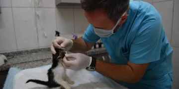 8 Bin 451 can dost sağlığına kavuştu
